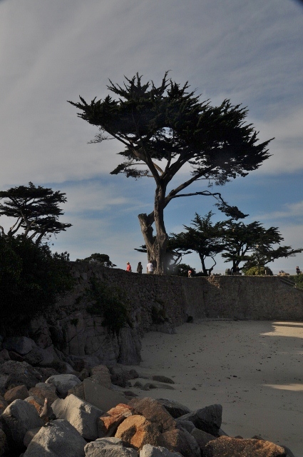Pacific Grove